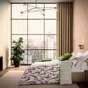 Wild Iris Multi