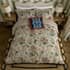 Sanderson Hykenham Rose and Sage small 9220A