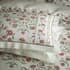Sanderson Ottoman Rose and Olive small 9224B