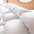 Fine Bedding Co small 9239A