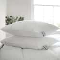 Clusterfull Pillow Pair