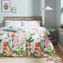 Cottage Garden Multi