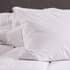 TLC 5 Star Softened Duck Feather Pillow small 9265E