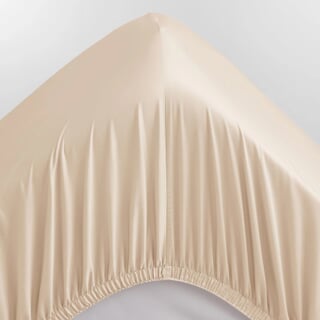 1000 Thread Count Sateen Champagne