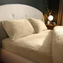 Cosy Teddy Fleece Sheet Natural