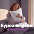 Silentnight Deep Sleep Pillow Pair small 9299D