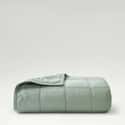 Laundered Cotton Sage