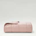 Laundered Cotton Pink