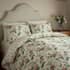 Sanderson Elouise Parchment and Rose small 9340A