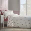 Brushed Ditsy Floral Pink