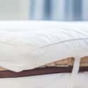 Softened Duck Feather Topper