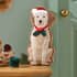 Catherine Lansfield Christmas Dogs Red Cushion small