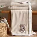 Sherpa Teddy Bear Throw