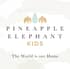 Pineapple Elephant small PINEK1
