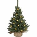 Kaemingk Everlands Imperial Mini Christmas Tree Prelit 45cm 2