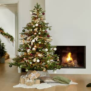 Kaemingk Everlands Grandis Fir Artificial Christmas Tree 2.4m/ 8ft