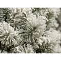 Kaemingk Everlands Snowy Vancouver Mixed Pine Artificial Tree 6ft 2