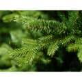 Kaemingk Everlands Allison Pine Artificial Christmas Tree 2.1m/ 7ft  - additional image